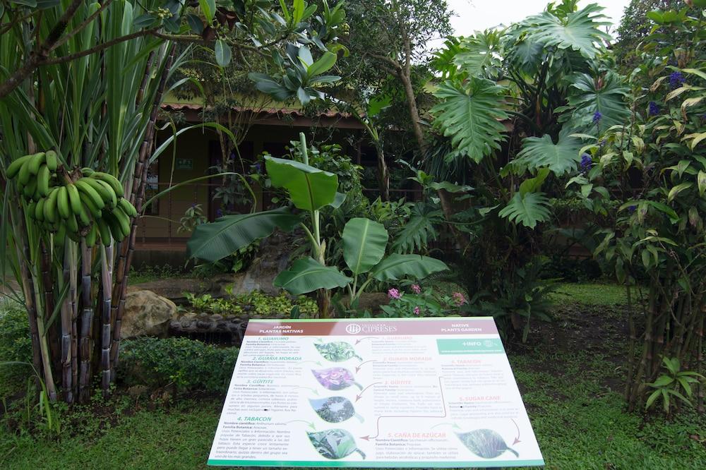 Hotel Cipreses Monteverde Exterior photo