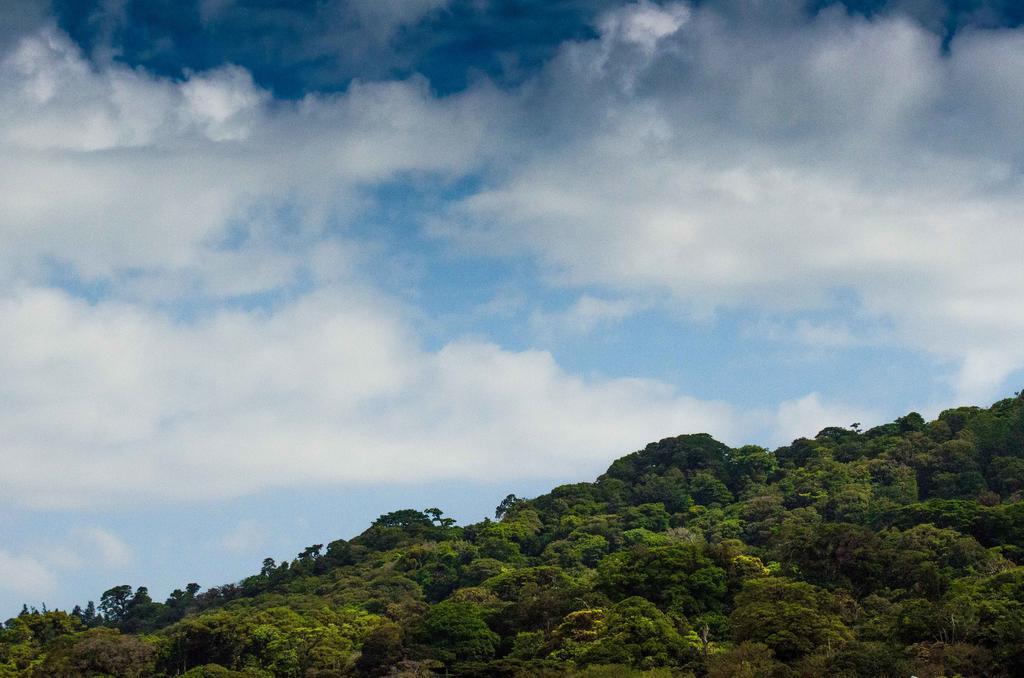 Hotel Cipreses Monteverde Exterior photo