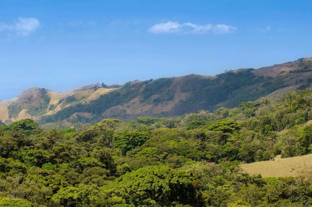 Hotel Cipreses Monteverde Exterior photo