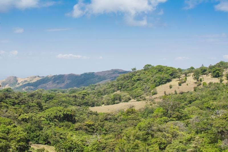 Hotel Cipreses Monteverde Exterior photo